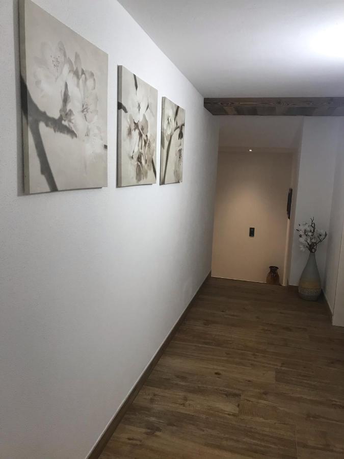 Appartement Fritzl Wagrain Eksteriør billede